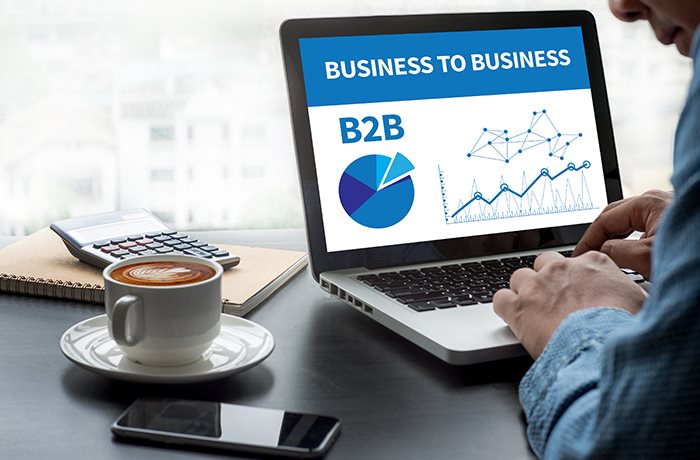 Infographic: B2B Digital Commerce Drives Revenue
